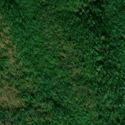 Satellite imagery of White Prospect, US