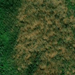 Satellite imagery of White Prospect, US