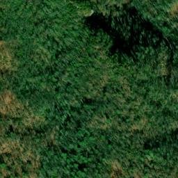 Satellite imagery of White Prospect, US