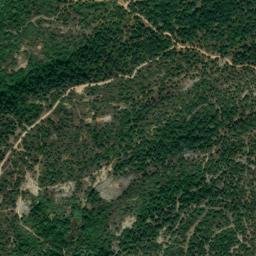 Satellite imagery of survey_point, DZ