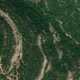 Satellite imagery of survey_point, DZ