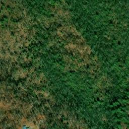 Satellite imagery of White Prospect, US