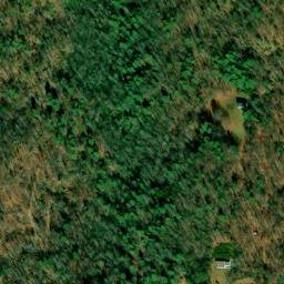 Satellite imagery of White Prospect, US