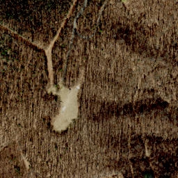 Satellite imagery of Murphy Ridge, US