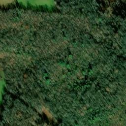 Satellite imagery of Nidifer Prospect, US