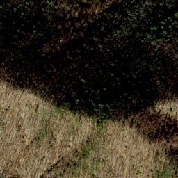Satellite imagery of Bell Ridge, US