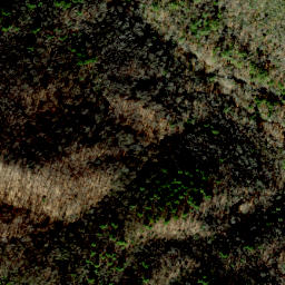 Satellite imagery of Bell Ridge, US