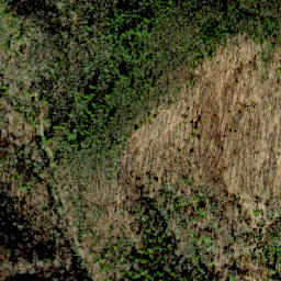 Satellite imagery of Bell Ridge, US