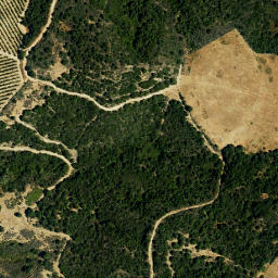 Satellite imagery of survey_point, DZ