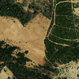 Satellite imagery of survey_point, DZ