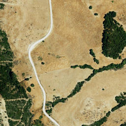 Satellite imagery of survey_point, DZ