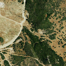 Satellite imagery of survey_point, DZ