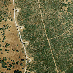 Satellite imagery of survey_point, DZ