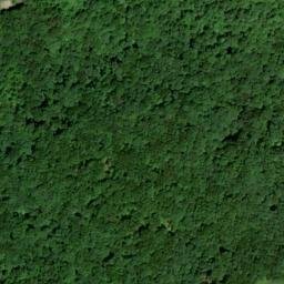 Satellite imagery of Fork Ridge, US