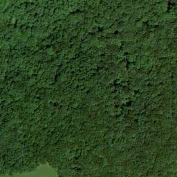 Satellite imagery of Fork Ridge, US
