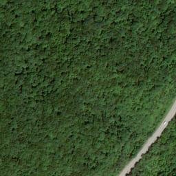 Satellite imagery of Fork Ridge, US
