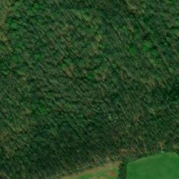 Satellite imagery of Monks Corner, US
