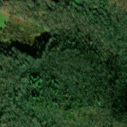 Satellite imagery of Nidifer Prospect, US