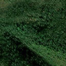 Satellite imagery of Nidifer Prospect, US