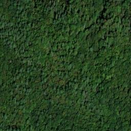 Satellite imagery of Profitt Prospect, US