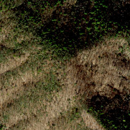 Satellite imagery of Bell Ridge, US