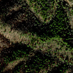 Satellite imagery of Bell Ridge, US