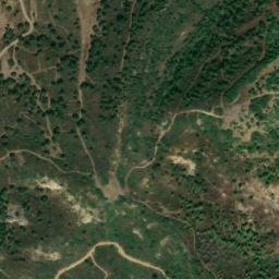 Satellite imagery of survey_point, DZ