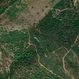Satellite imagery of survey_point, DZ