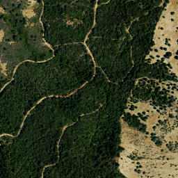 Satellite imagery of survey_point, DZ