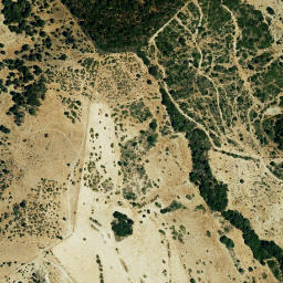 Satellite imagery of survey_point, DZ