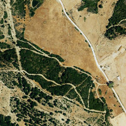 Satellite imagery of survey_point, DZ