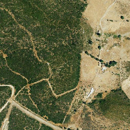 Satellite imagery of survey_point, DZ
