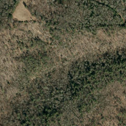 Satellite imagery of Laurel Ridge, US