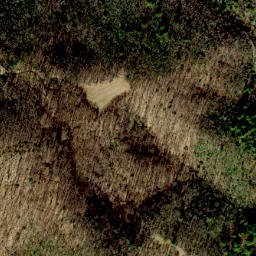 Satellite imagery of Bell Ridge, US