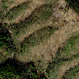 Satellite imagery of Bell Ridge, US
