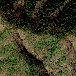 Satellite imagery of Bell Ridge, US