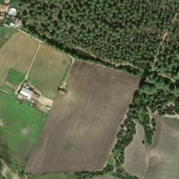 Satellite imagery of survey_point, DZ