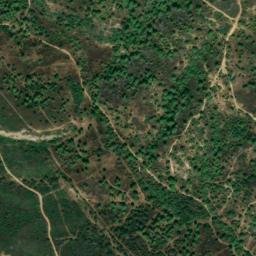 Satellite imagery of survey_point, DZ
