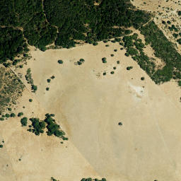 Satellite imagery of survey_point, DZ