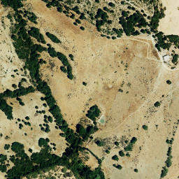Satellite imagery of survey_point, DZ