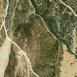 Satellite imagery of survey_point, DZ