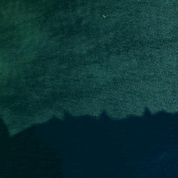 Satellite imagery of survey_point, DZ