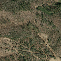 Satellite imagery of Laurel Ridge, US