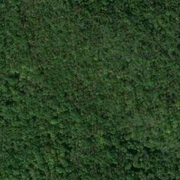 Satellite imagery of Whitleys Bluff, US