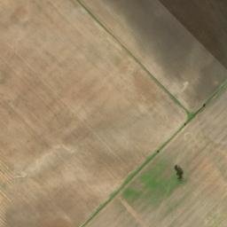Satellite imagery of survey_point, DZ