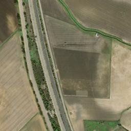 Satellite imagery of survey_point, DZ