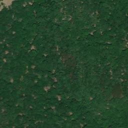 Satellite imagery of survey_point, DZ