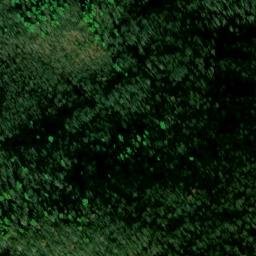 Satellite imagery of Bowers Branch Prospect, US
