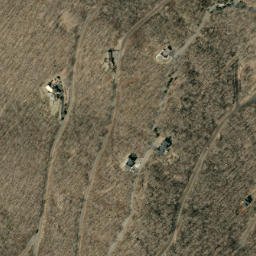 Satellite imagery of Bee Ridge, US