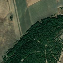 Satellite imagery of survey_point, DZ